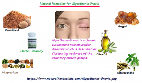 Olive oil is an Herbal Treatment for Myasthenia Gravis take some olive oil and add it to a cup. Then take a cotton cloth and soak it in the cup. Then apply it on the affected part and massage well for 10 to 15 minutes... https://myastheniagravisdisease.blogspot.com/2019/08/Herbal-Treatment-for-Myasthenia-Gravis.html