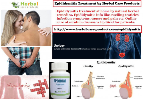 Herbal Treatment for Epididymitis is a wonderful way to reduce the symptoms and can work quickly. Try the most-indicated treatment in potency every day until symptoms leave.

https://www.herbal-care-products.com/blog/11-natural-home-remedies-for-epididymitis/