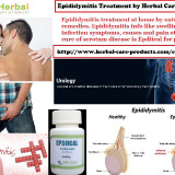 Natural-Treatment-for-Epididymitis-1