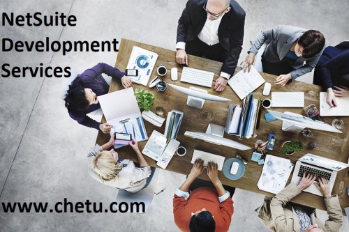 NetSuite caters to all business sizes, all industry verticals and all management roles. Chetu provides the best NetSuite solution for all your business requirements. To get on demand NetSuite administration & development solution visit: https://www.chetu.com/solutions/erp/netsuite.php