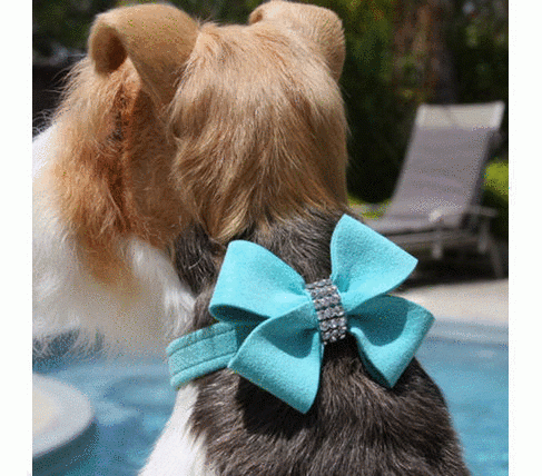 Our multi colored Nouveau Bow collection gives your pup the best style. Its comfortable, easy to maintain.This is made by soft, comfortable fabric is breathable, washable and colorfast. https://tinyurl.com/y5g8s3sy