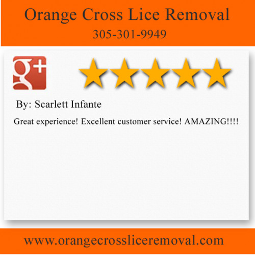 Orange Cross Lice Removal
7613 Biscayne Blvd
Miami, FL 33138
(305) 301-9949

http://www.orangecrossliceremoval.com/