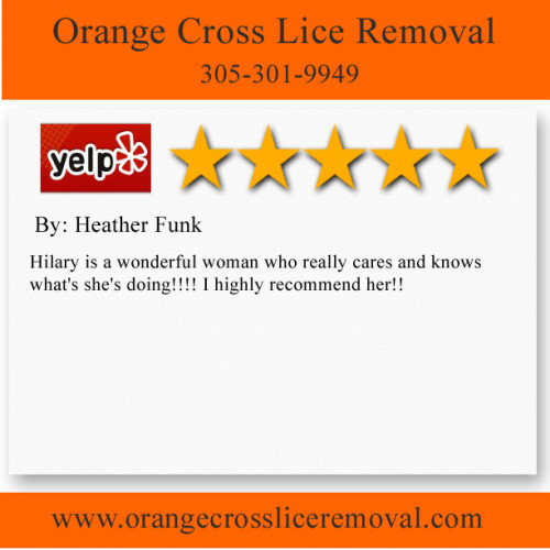 Orange Cross Lice Removal
7613 Biscayne Blvd
Miami, FL 33138
(305) 301-9949

http://www.orangecrossliceremoval.com/