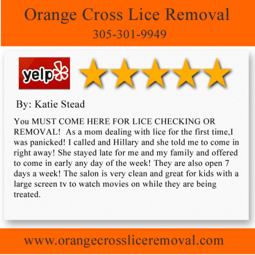 Orange-Cross-Lice-Removal-7.jpg