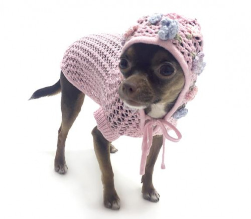 Oscar-Newman-Dog-Clothes---Bloomingtails-Dog-Boutique.jpg