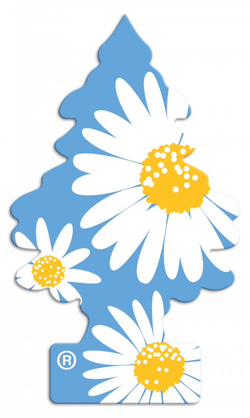 PI_LT_T_DAISY-FIELDS_CO.png