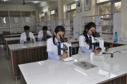 http://www.cmi-hm.com/paramedical.html | Students willing to take admission in Paramedical Sciences can choose CIPS as there Paramedical College in Delhi and make their career.