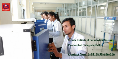 http://www.cmi-hm.com/education-in-health-industry.html | Cradle Institute of Paramedical Sciences is one of such colleges which is known for providing quality education in Delhi by covering various topics related to health care which in turn paves way for better health and overall well being.