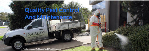 Pest-control-craigieburn.jpg