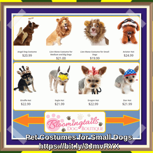 Pet-Costumes-for-Small-Dogs-bloomingtailsdogboutique.com.gif