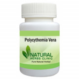 Polycythemia-Vera-Herbal-Treatment-500x500-1