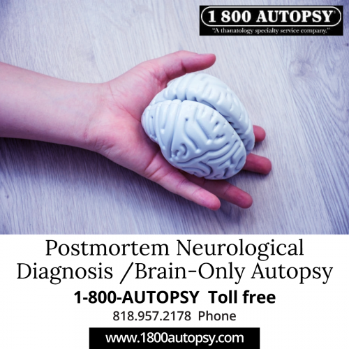 If a brain autopsy is called for, the pathologist will make a cut across the crown of the head. Bodies that have undergone autopsy are still able to have open-casket funerals, even in the case of brain autopsy.
https://www.1800autopsy.com/postmortem-neurological-diagnosis-brain-only-autopsy/