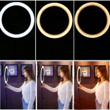 RINGLIGHT--3718054cf1cb42893