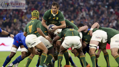 South Africa RWC side were keen viewers during Ireland Vs France

https://www.worldwideticketsandhospitality.com/rugby-world-cup-tickets/south-africa-rugby-world-cup-tickets/5414/south-africa-vs-ireland-tickets.tix

Rugby fans from all over the world can book Rugby World Cup 2023 tickets from our online platforms WorldWideTicketsandHospitality.com. RWC 2023 fans can book South Africa Vs Ireland Tickets on our website at exclusively discounted prices.

https://blog.worldwideticketsandhospitality.com/2023/02/18/south-africa-rwc-side-were-keen-viewers-during-ireland-vs-france/

#RugbyWorldCupTickets, #FranceRugbyWorldCupTickets, #EnglandRugbyWorldCupTickets, #SouthAfricaVsIrelandTickets, #RWCTickets, #RWC2023Tickets, #RugbyWorldCupFinalTickets, #RugbyWorldCup2023Tickets, #FranceRugbyWorldCup2023Tickets,