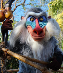 Rafiki.jpg