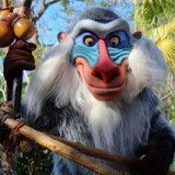 Rafiki