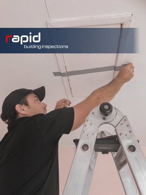Rapid build. Rapid build