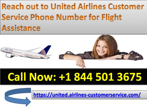 Reach-out-to-United-Airlines-Customer-Service-Phone-Number-for-Flight-Assistance.jpg