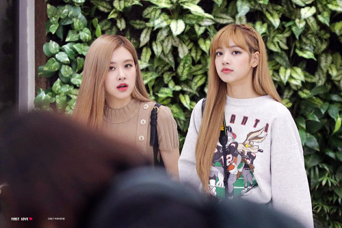 Rose' & Lisa (Black Pink)