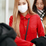 Rose.Entry-to-Incheon-International-Airport-2