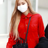 Rose.Entry-to-Incheon-International-Airport-3