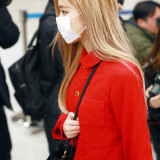 Rose.Entry-to-Incheon-International-Airport-6