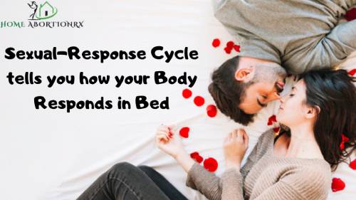 Sexual-Response-Cycle.jpg