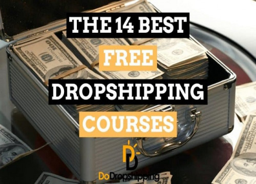 Shopify-Courses-Dropshipping-Courses-premiumleakshubAmazon-courses-3.jpg