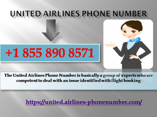 Any info for flight fares, reserving a seat for the flight can get cleared up by an Addressing the masters at United Airlines Phone Number. You should simply get the telephone and dial the number +1 855 890 8571to find the administrations you require. View more at https://united.airlines-phonenumber.com/