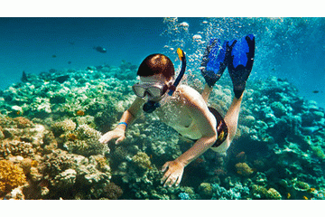 Snorkeling is a popular recreational activity, particularly held at tropical resort locations. Snorkeling is a kind of mask used to breathe while swimming. Cabo San Lucas is the best place for Snorkeling in Cabo.https://bit.ly/2HIlnRP