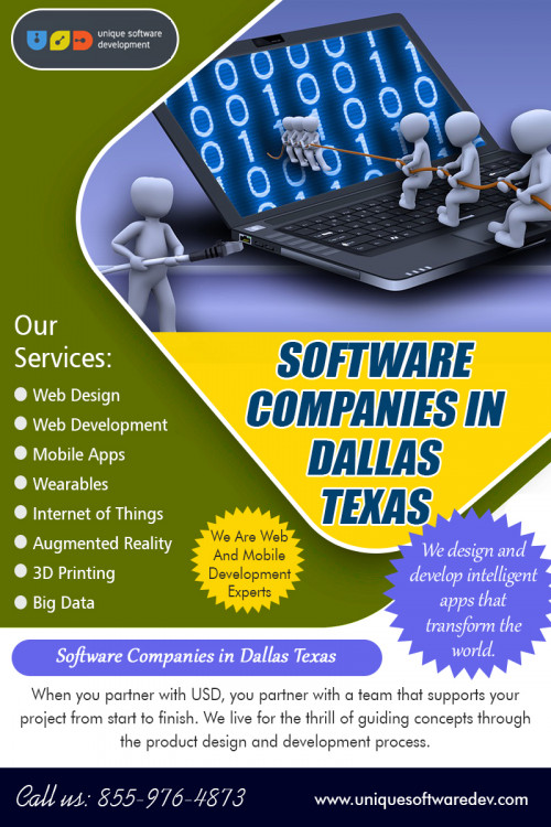 Software-Companies-in-Dallas-Texas.jpg