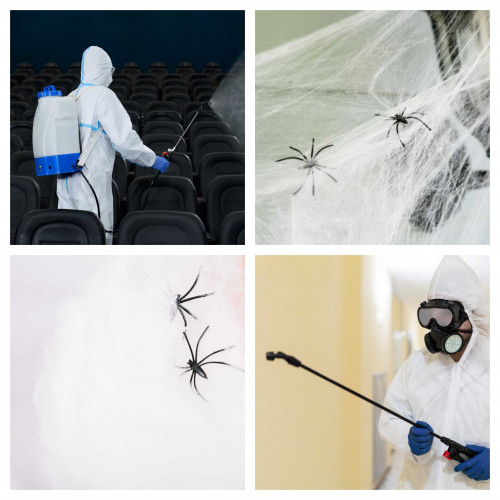 Spider-Pest-Control-Melbourne-By-Experts.jpg