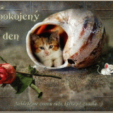 Spokojeny-den74374f4cad792c64