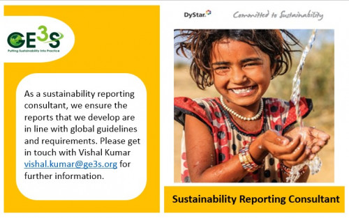 Sustainability-Reporting-Consultant2--GE3S.jpg