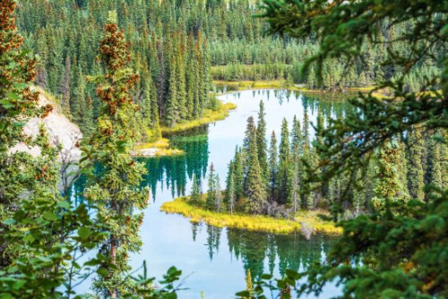 THE-MOST-POPULAR-BIKING-TRAILS-IN-MAMMOTH-LAKES.jpg