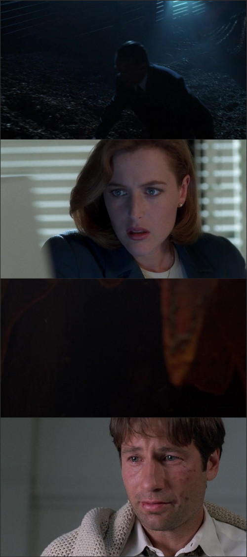 THE.X.FILES.SEZON.04E01.PL.480P.WEB.DL.NX264.NHANC3.mkv.jpg