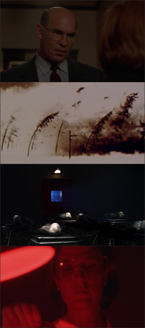 THE.X.FILES.SEZON.05E01.PL.480P.WEB.DL.NX264.NHANC3.mkv.jpg