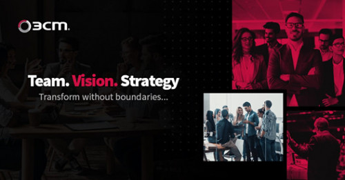 Team.Vision.Strategy.jpg