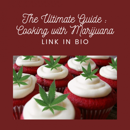 The-Ultimate-Guide-_-Cooking-with-Marijuana.png