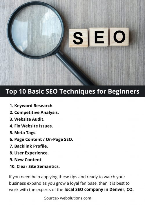 Top-10-Basic-SEO-Techniques-for-Beginners.png