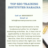 Top-SEO-Training-Institutes-Naraina