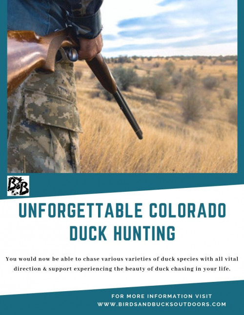 It is an outdoor activity which is appreciated by the individuals since the early ages. Our Colorado Duck Hunting guides helps one to get to the spots, where there is a more noteworthy possibility of chasing the ducks. Going along with us can be one decent choice.

https://www.birdsandbucksoutdoors.com/colorado-duck-hunting-club/