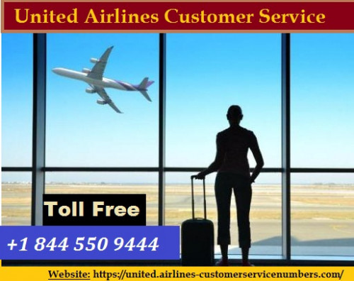 To get 24x7 online help related to united airlines flight information, reservation, flight check in then call at +1 844 550 9444 United Airlines customer service and resolve all flight related queries. Here are united airlines executives are ready to help you. To know more visit: https://united.airlines-customerservicenumbers.com/