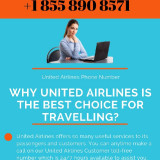 United-Airlines-Phone-Number-Toll-Free