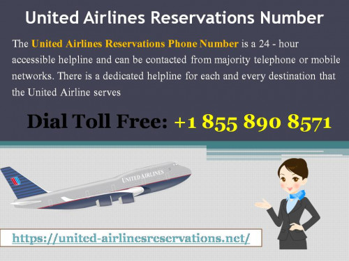 You can look up this United Airlines Reservations Number +1 855 890 8571 online and contact the respective customer care at your location. For any other information related to making an online booking flight ticket, you can connect with a reservations agent on the https://united-airlinesreservations.net/