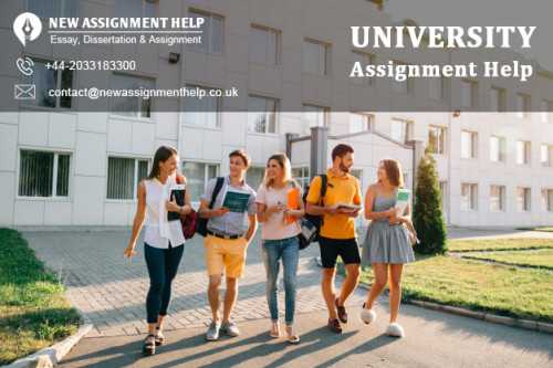 University Assignment Help