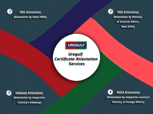 UrogulfCertificateAttestation.png