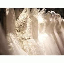 Wedding-dresses-dry-cleaningeb48b19b12f08323.gif