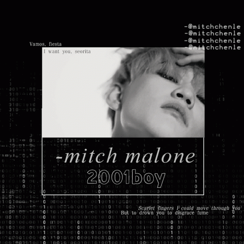 pin for bot dnt re upload ; only for @mitchchenle