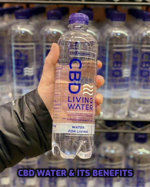 Recent studies state that CBD water helps you recover from muscles and joint pain.  CBD water is packed with vital vitamins & nutrients, including B vitamins, vitamin C, vitamin E, calcium, and more.
#cbdwater #benefitsofcbdwater #cbdwaterbenefits